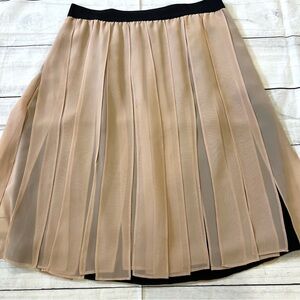 Ann Taylor Pleated Skirt